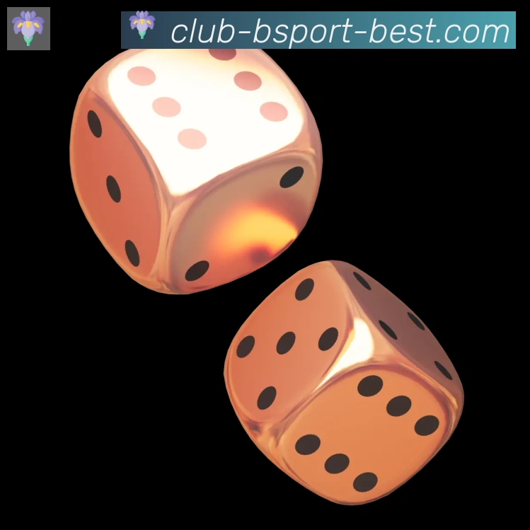 B体育全站App